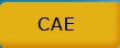 CAE