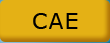 CAE